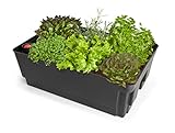 Amazon Product Bild