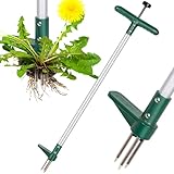 Amazon Product Bild