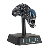 Amazon Product Bild