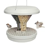 Amazon Product Bild